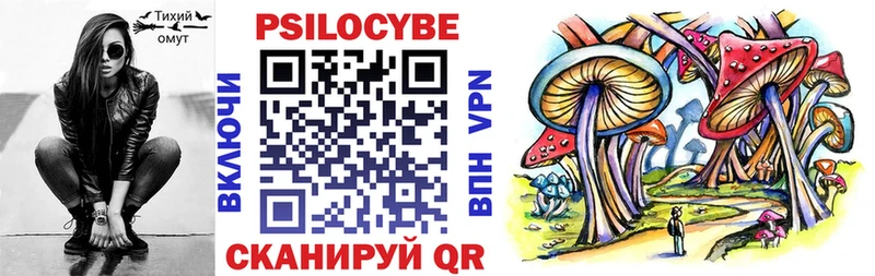 omg ссылки  цена   Черемхово  Псилоцибиновые грибы Psilocybine cubensis 