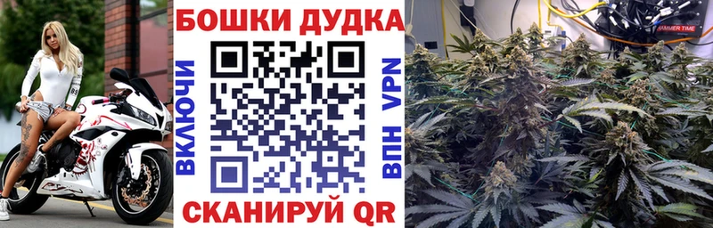 наркота Черемхово Каннабис индика
